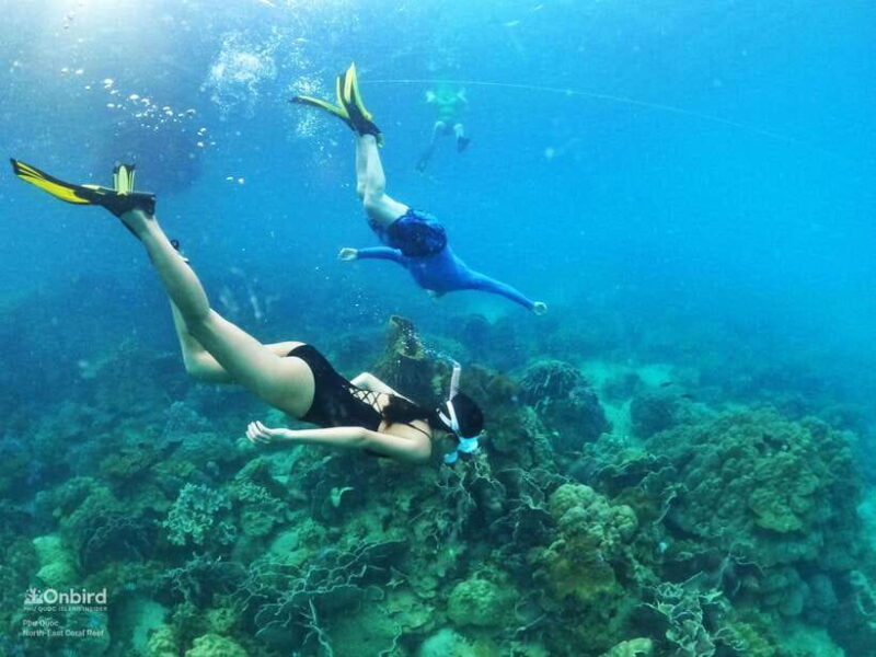 South Phu Quoc: Pro Snorkeling Tour by Speedboat - Overview of the Pro Snorkeling Tour