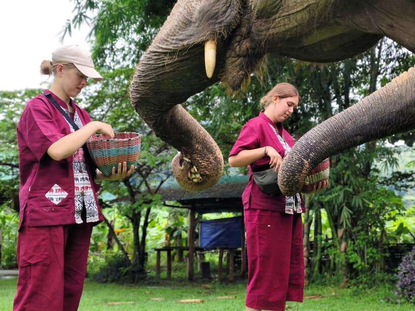 Sticky Waterfalls- Elephants- Bamboo or White Water Rafting.