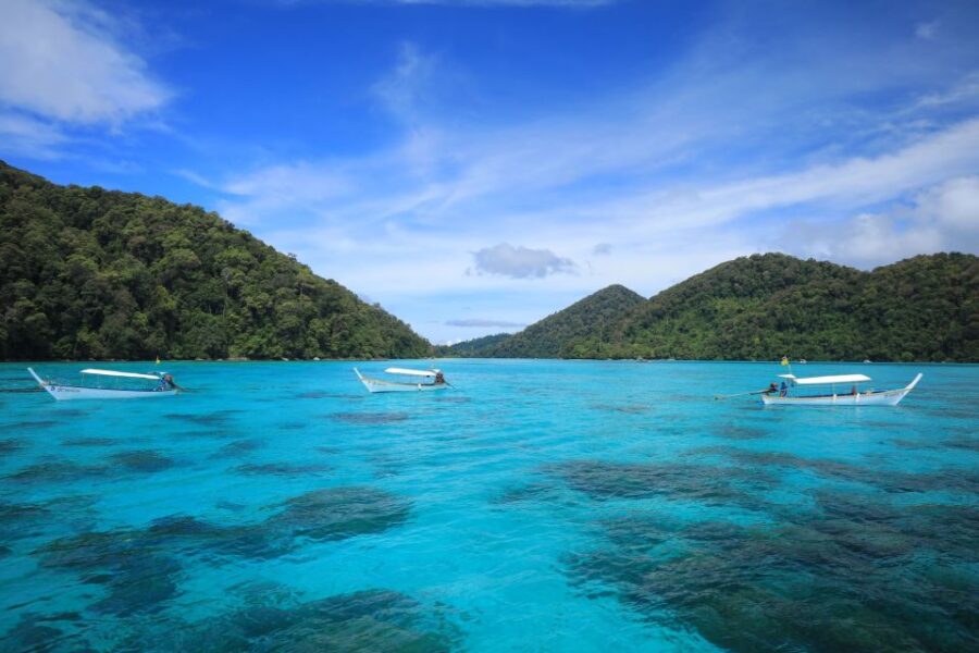 Surin Island - Snorkeling Tour - Tour Overview and Pricing