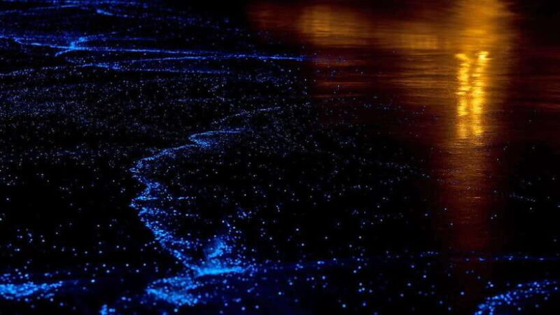Twilight Sea Canoe to James Bond Island W/ Glowing Plankton - Kayaking Experience