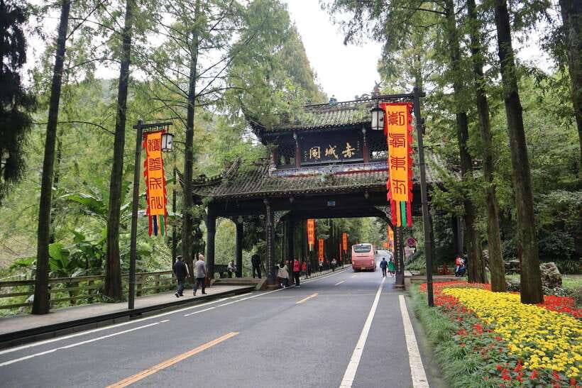 2-Day Chengdu & Mount Qingcheng Heritage Tour - Exploring Panda Valley: Cuddly Giants in Their Habitat