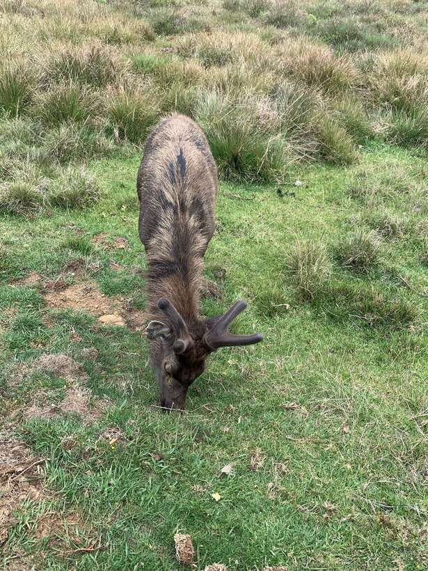 2-Day Ella Tour: Diyaluma Falls Horton Plains & Scenic Train - The Overall Experience