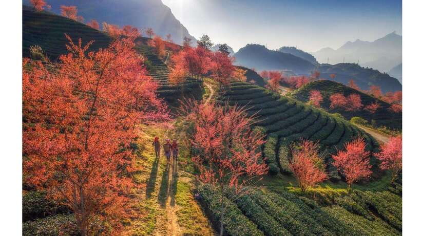 2-Day Sapa Tour From Hanoi With Homestay and Meals Included - Itinerary Highlights