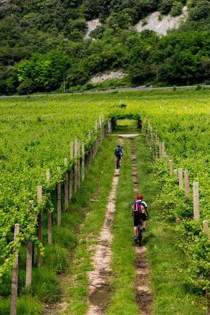 2 Days Winery Tour: 3 Wine Tastings, Local Hotel, 3 Meals - Introduction: A Taste of Romania’s Wine Country