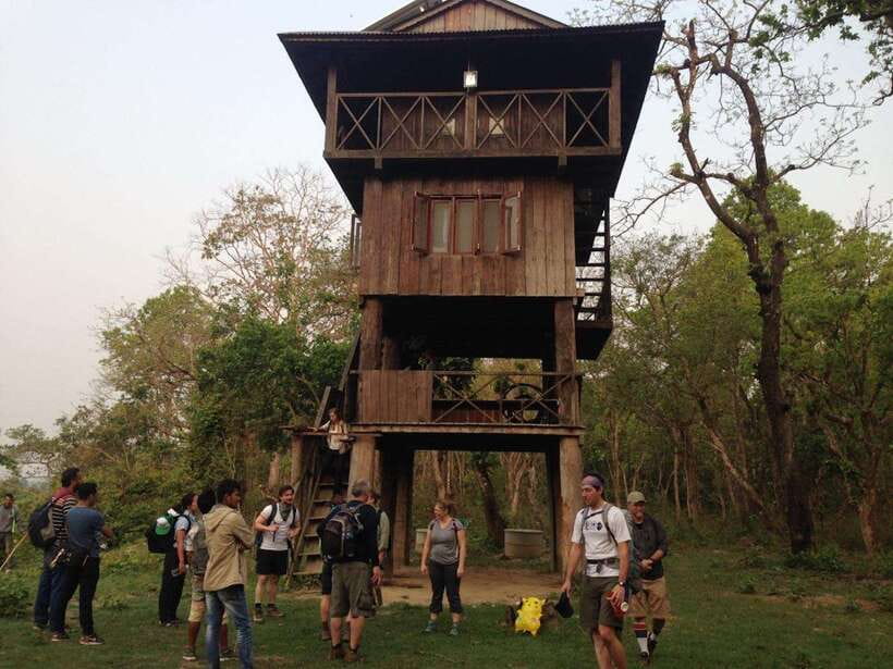 2 Nights 3 Days : Chitwan Jungle Safari Tour - Exploring the Itinerary in Detail