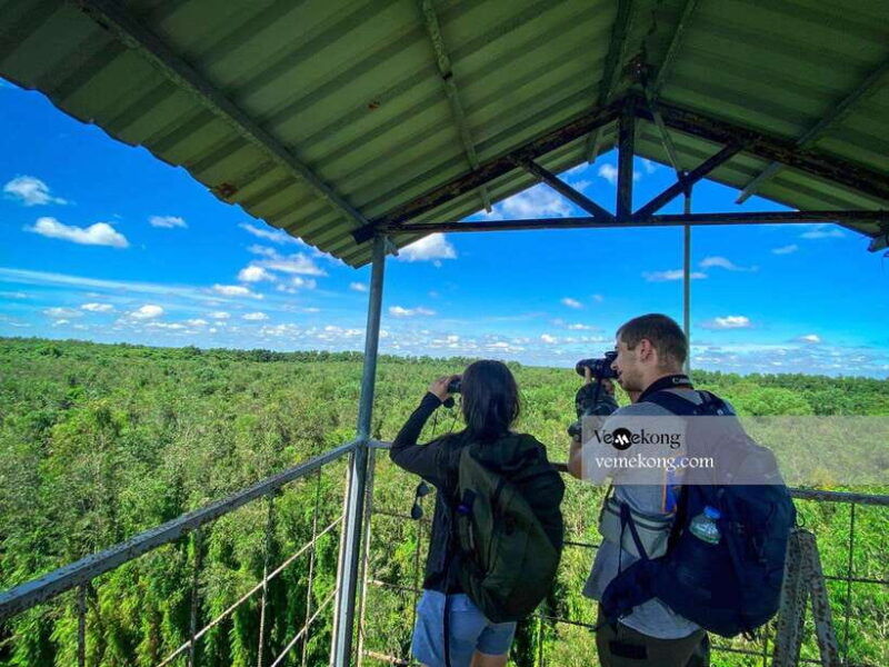 Can Tho: Lung Ngoc Hoang Nature Reserve & Forest Tour - Itinerary and Activities