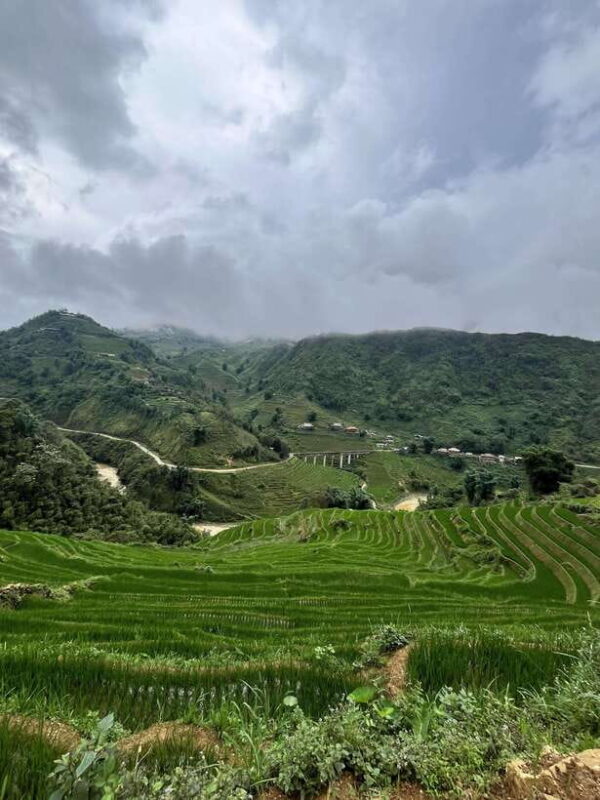Day Tour With Herbal Bath With Co:Red Dao Cultural Immersion - The Expertise of Your Local Guide, Co