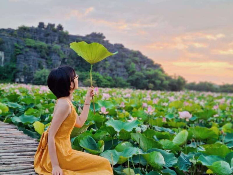From Hanoi: Day Trip to Ninh Bình – The Colors of Nature - Scenic Attractions of Ninh Bình