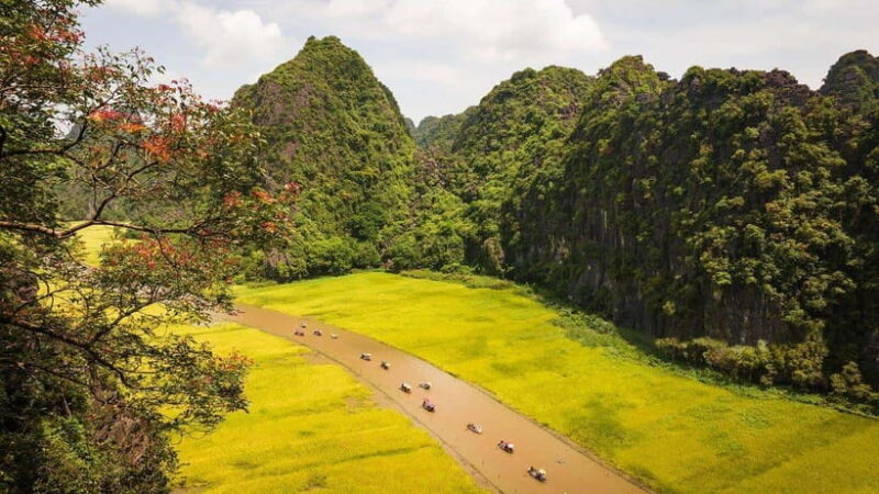 From Hanoi: Ninh Binh, Tam Coc and Mua Cave Trip With Lunch - Trip Overview and Pricing