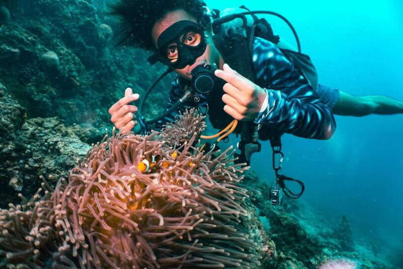 From Phi Phi: Beginner Scuba Diving Day Trip With 2 Dives - Itinerary and Locations