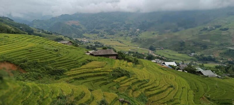 From Sapa Visit Lao Chai/Ta Van/Giang Ta Chai Sleep Homestay - Key Points