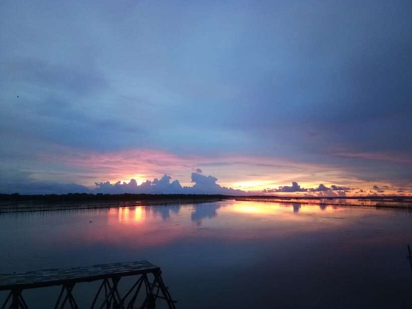 Half-day Tam Giang Lagoon Adventure And Fisherman's Feast - Unique Experiences at Đầm Chuồn