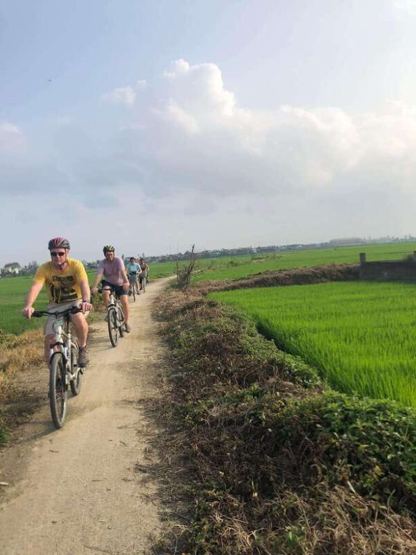 Hoi An: Half-Day Bike Tour With Local Guide - Overview of the Half-Day Bike Tour