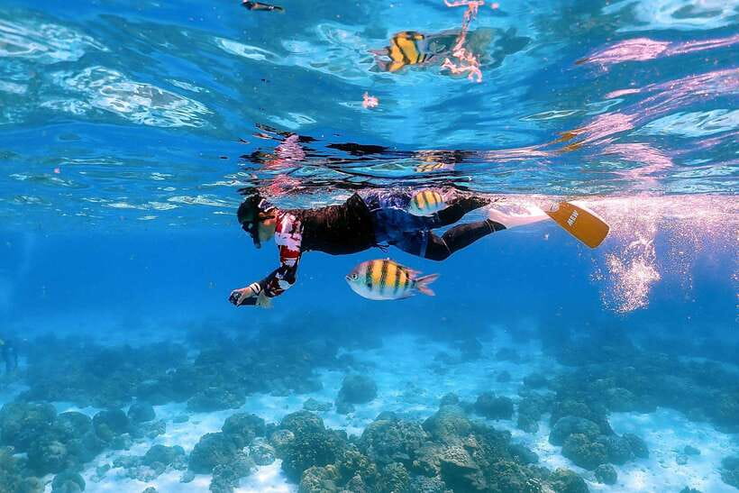 Khao Lak: Premium Tour to Racha Islands With Snorkel & Lunch - Snorkeling at Pirates Beach and Banana Bay
