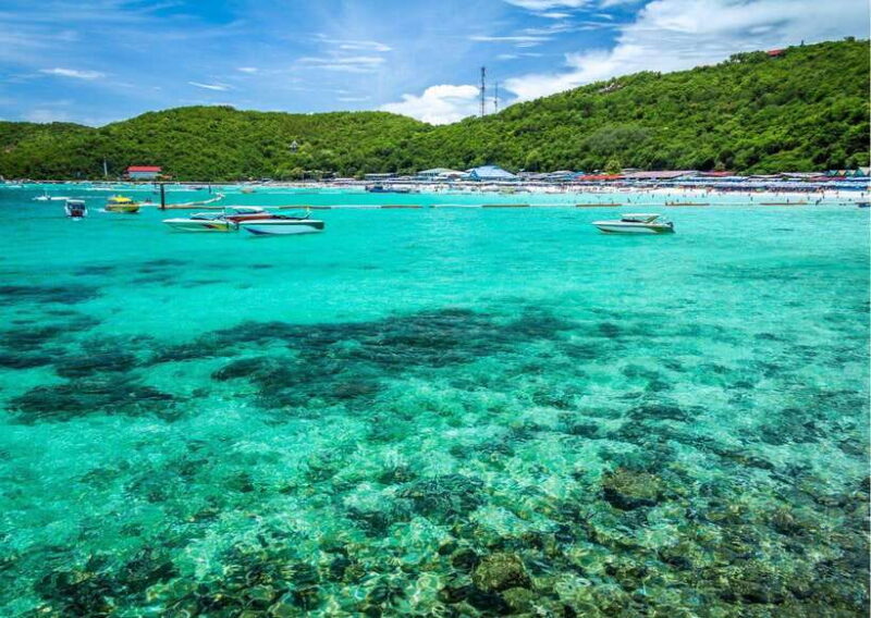 Pattaya: Koh Larn Island Day Trip With Lunch and Activities - Inclusions and Exclusions