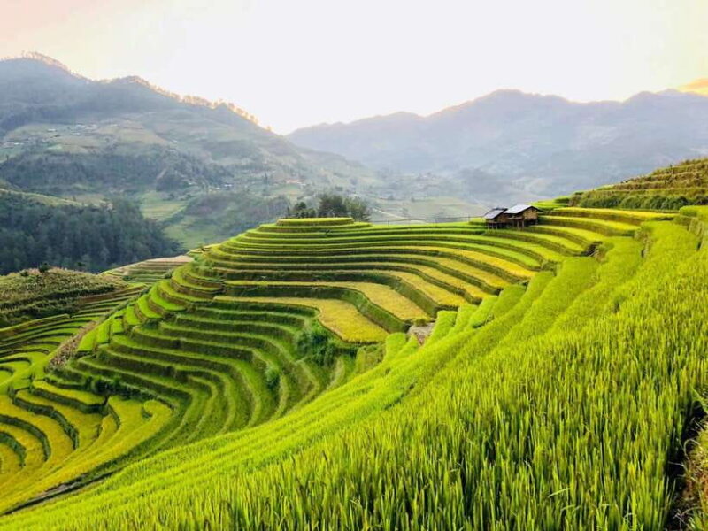 Visit Villages, Terrace Rice Field With Easy Riders Half Day - Tour Overview and Pricing