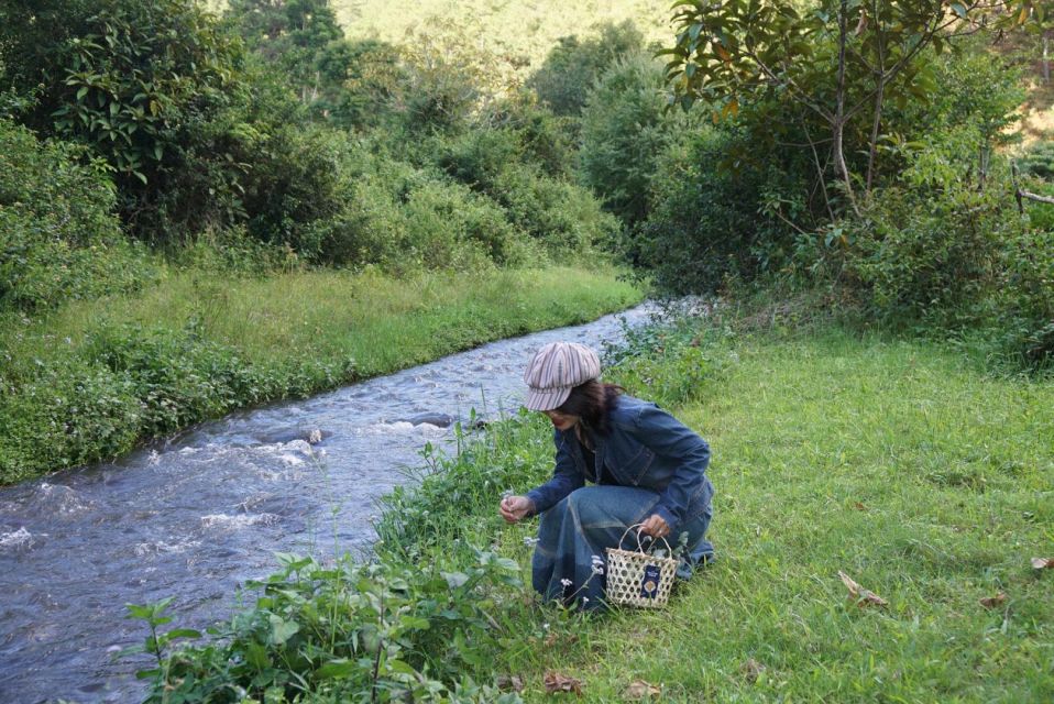 3-Hours Trekking Tour to Hidden Waterfall and Sturgeon Farm - Highlights and Activities