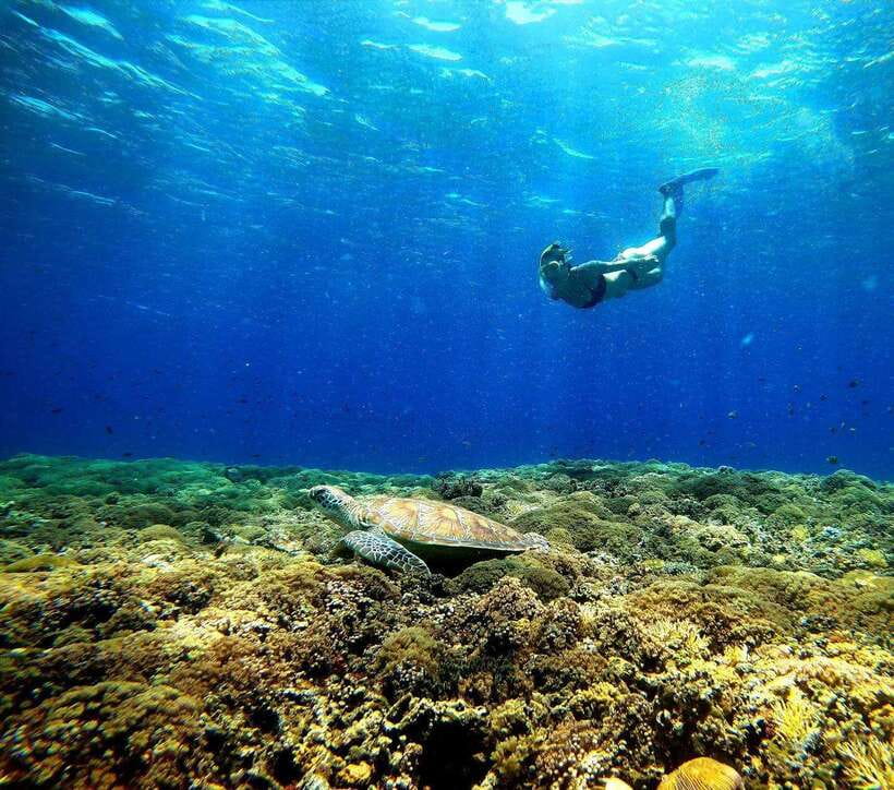 3 islands snorkeling & turtle sanctuary Gopro included - The Itinerary in Detail