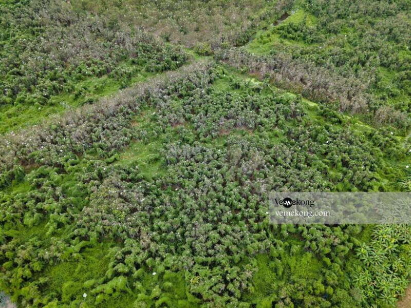 Can Tho: Lung Ngoc Hoang Nature Reserve & Forest Tour - Participant Information and Recommendations
