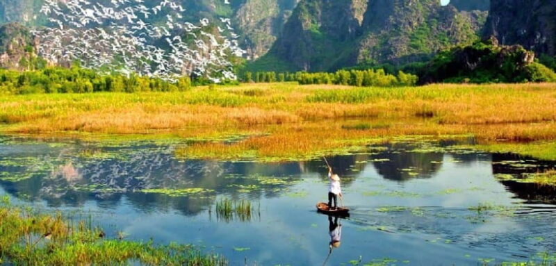 From Ninh Binh: Cuc Phuong National Park Day Trip With Lunch - Day Trip Itinerary