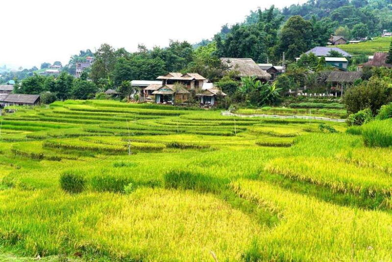From Sapa Visit Lao Chai/Ta Van/Giang Ta Chai Sleep Homestay - Homestay Accommodations