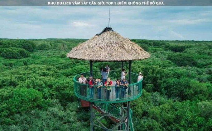 Ho Chi Minh City: Can Gio Monkey Island Day Trip With Lunch - Important Tips for Travelers