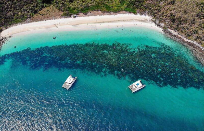 Pattaya: 3 Islands Day Tour on Catamaran With Buffet Lunch - Key Points