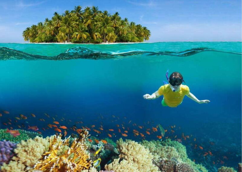 Pattaya: Koh Larn Island Day Trip With Lunch and Activities - Tour Overview