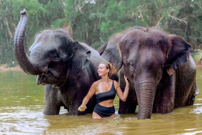 Phuket: Elephant Sanctuary Tour With Pickup & Optional Lunch - Frequently Asked Questions