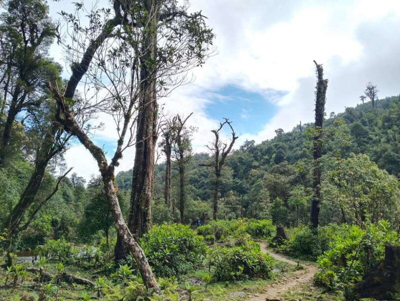 SAPA : Climb up to Fansipan Mountain With LOCAL GUIDE - What to Expect at Fansipan Summit