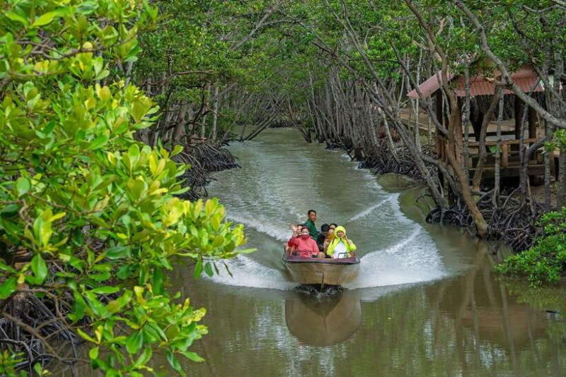 TP HCM: EXPLORE CAN GIO MANGROVE AND MONKEY ISLAND - Highlights of the Experience
