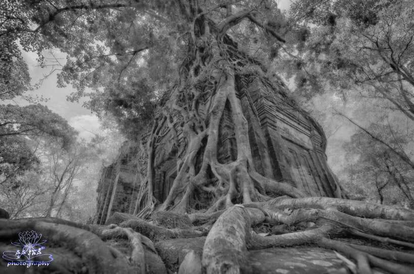 4-Day Angkor Wat, Kulen Mount, Koh Ker Group & Beng Mealea - Final Thoughts