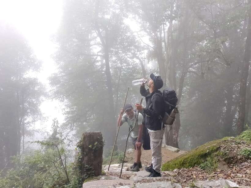 4 Day Mardi Himal Trek with 2 Day Chitwan Jungle Safari Tour - The Itinerary in Detail