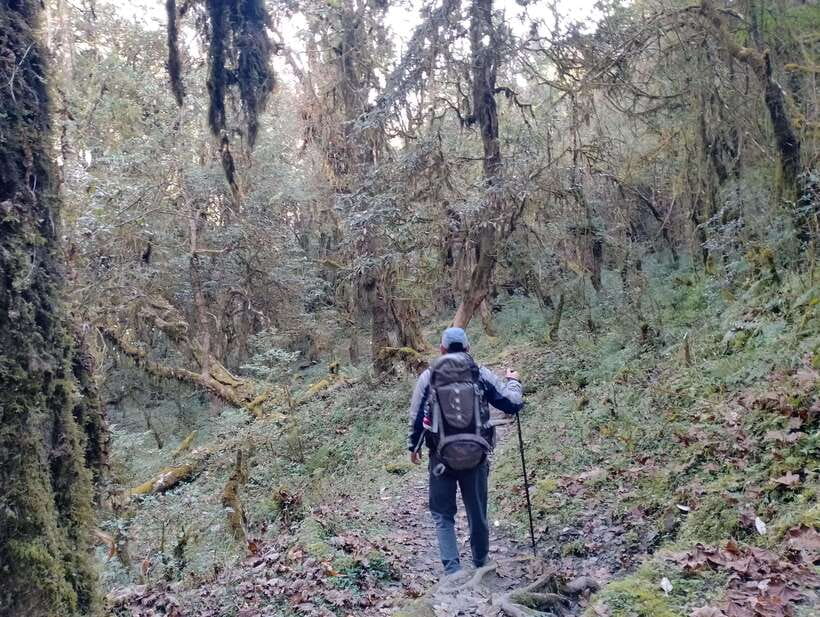 4-Day Mulde ,Poon Hill Trek Itinerary (Children-Friendly) - The Practical Side: Whats Included and What to Expect