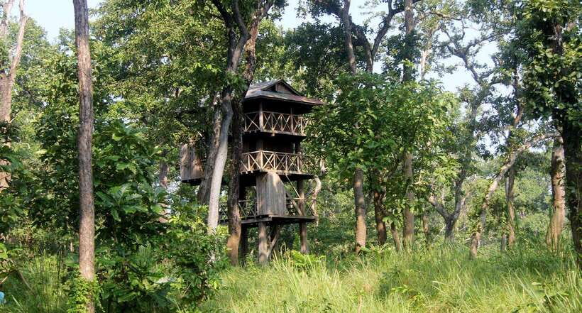 4 Days Chitwan Jungle Tour with 1 Night Jungle Tower stay - What You Can Expect from the Itinerary