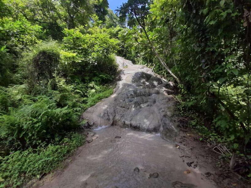 Chiang Mai: 4-Hour Sticky Waterfall Private Tour - Inclusions and Requirements