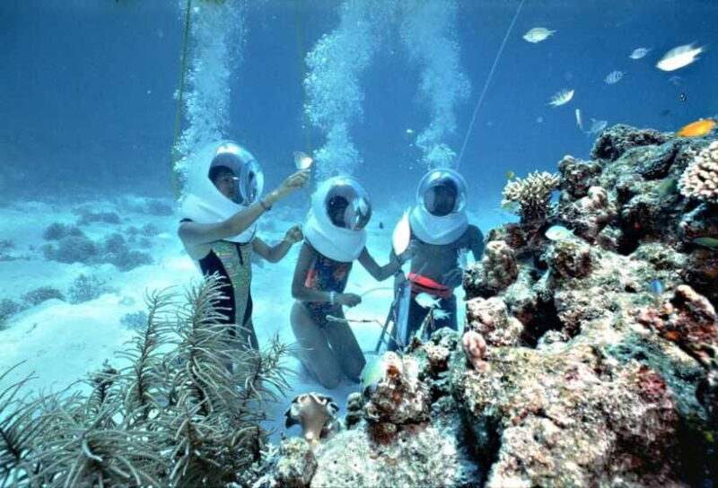 From Da Nang: Cham Island Sightseeing And Snorkeling Tour - Important Information to Know