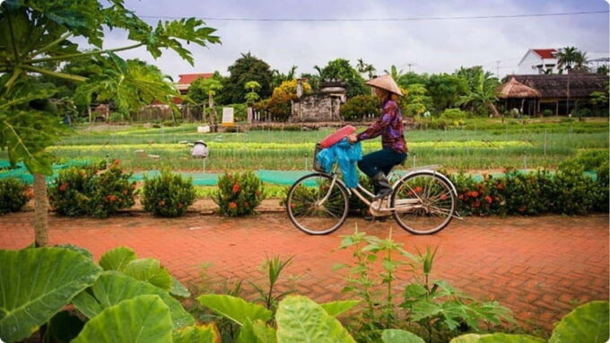 From Garden to Table: Tra Que Farming Tour - Important Considerations for Your Visit