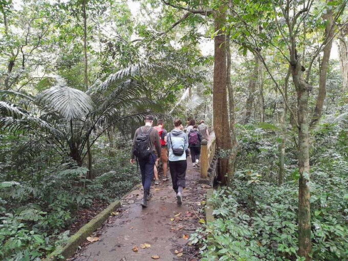 From Ninh Binh: Cuc Phuong National Park Trekking Day Tour - Exploring Ninh Binh Beyond the Tour