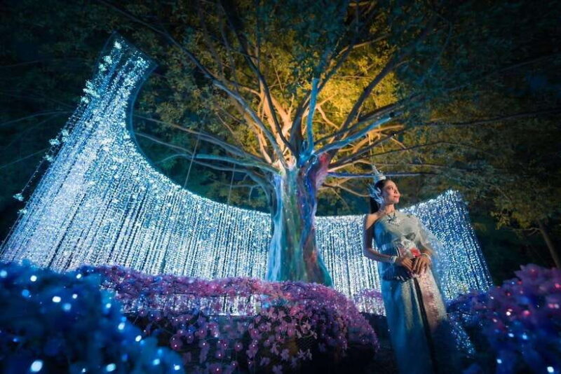 Light Festival at Na Satta Park: Magical Once-a-Year Moment - Relax at the Picturesque The Buffalo Amphawa