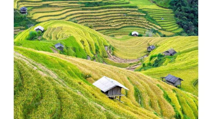 Mai Chau Day Trip From Hanoi - Customer Reviews and Feedback