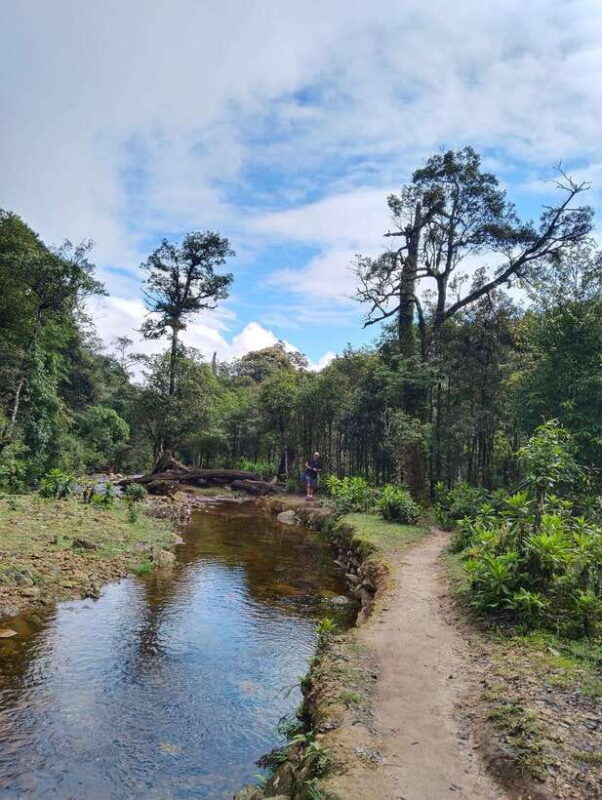 SAPA : Climb up to Fansipan Mountain With LOCAL GUIDE - Cultural Insights From Local Guides