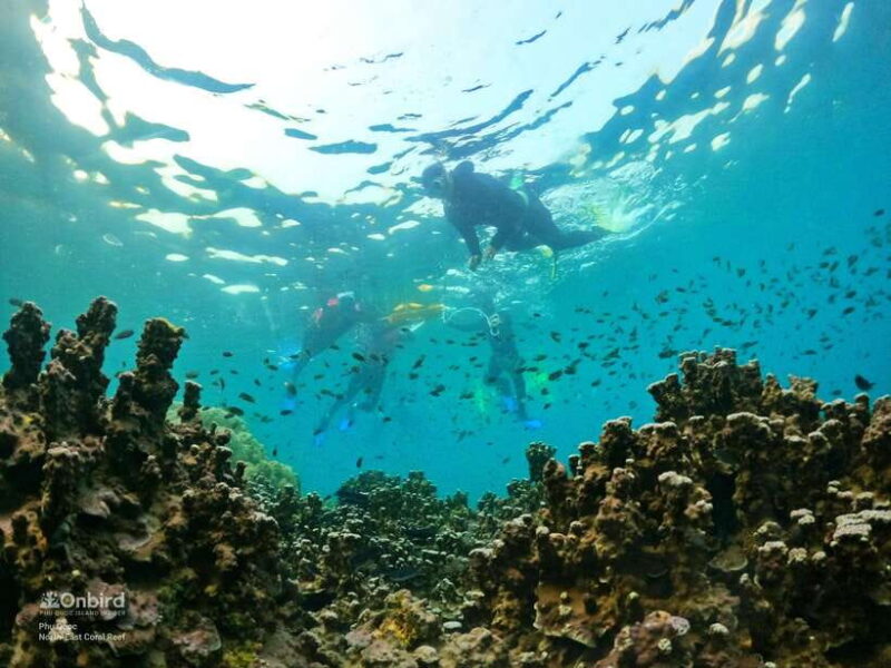 South Phu Quoc: Pro Snorkeling Tour by Speedboat - Highlights of the Snorkeling Experience