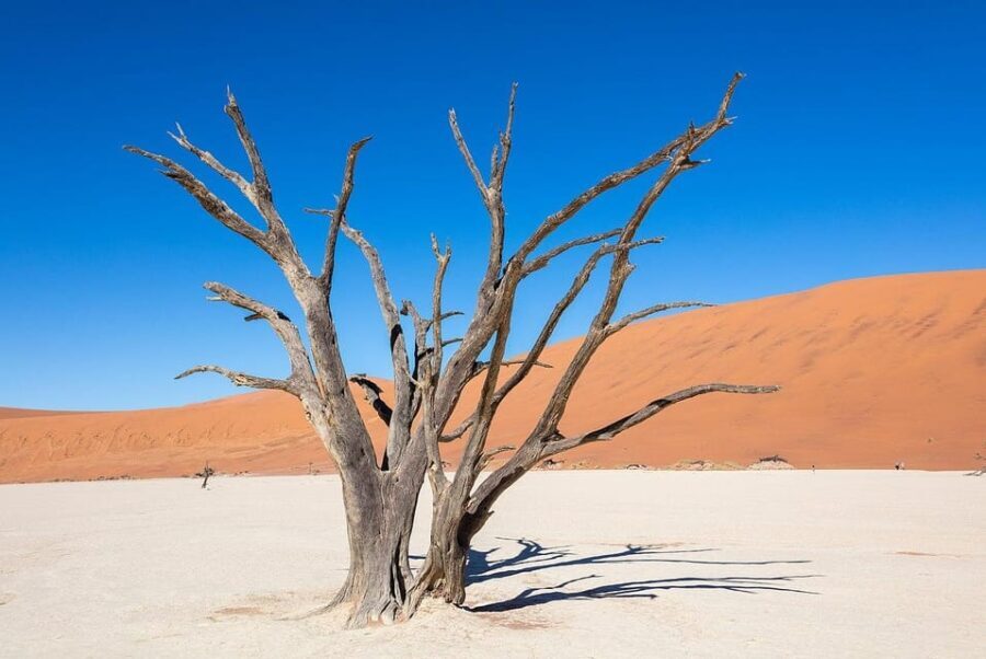5 Days Sossusvlei and Swakopmund Tour - Shared Shuttle - The Value of the Tour