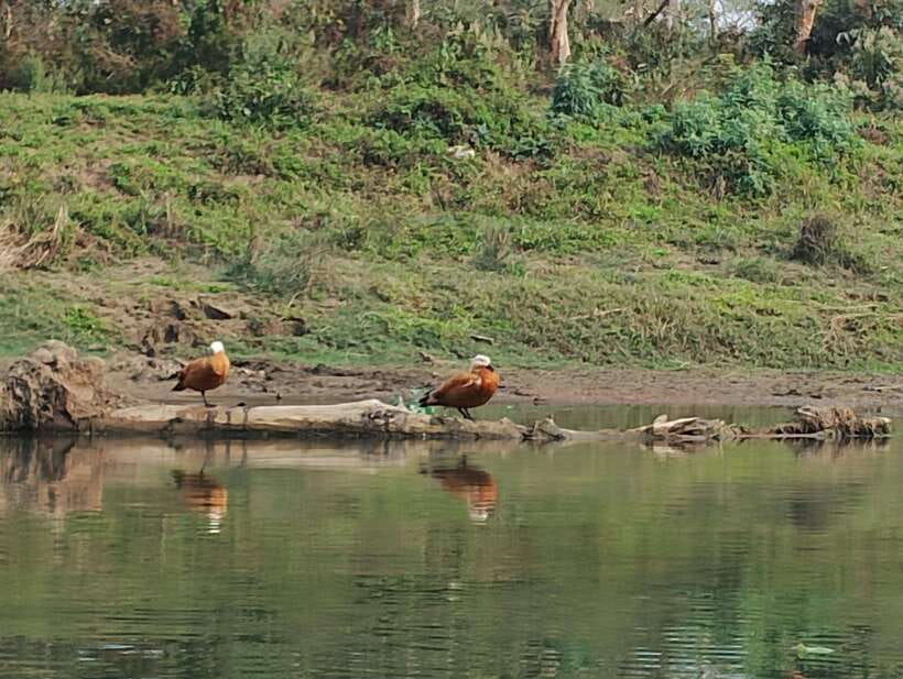 5 Days with One Tower Night Stay in Chitwan National Park - Value and Practical Considerations