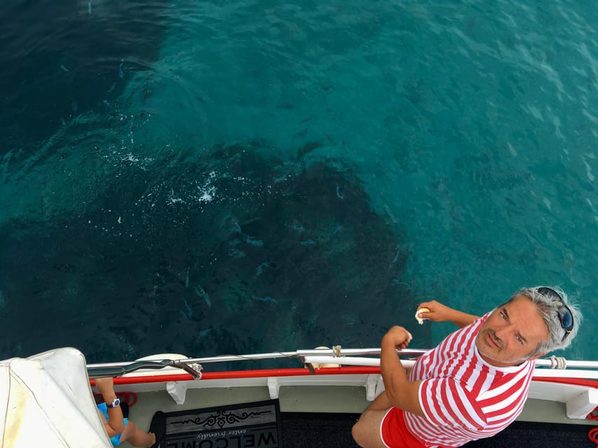5,5h Plavnik Island: Swim & Snorkel with Capt. Bobo (Public) - The Itinerary Breakdown