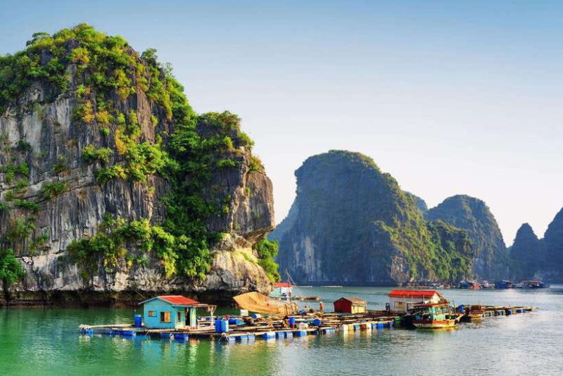 1-Day Tour Explore Unesco-recognized Ha Long Bay on Cruise - Dining Experience