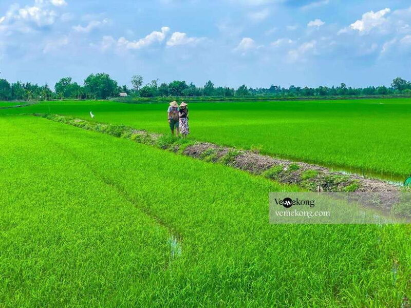 Can Tho: Lung Ngoc Hoang Nature Reserve & Forest Tour - Highlights of the Lung Ngoc Hoang Nature Reserve