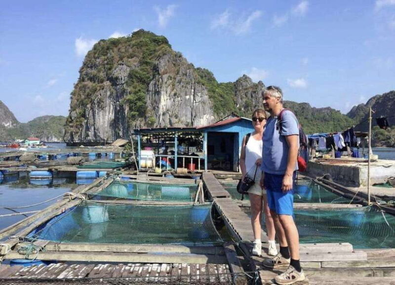 Cat Ba: Lan Ha Bay Full-Day Boat Tour - Important Notes
