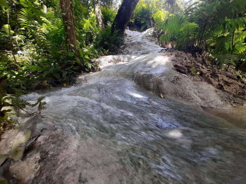 Chiang Mai: 4-Hour Sticky Waterfall Private Tour - Customer Reviews
